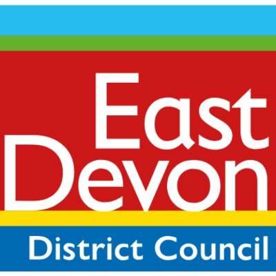 District Council logo